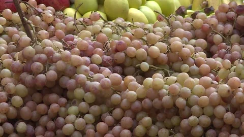 Fruits and vegetables in Egypt Stock Footage 251980026