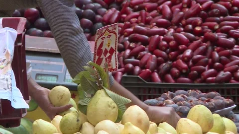 Fruits and vegetables in Egypt Stock Footage 251980356