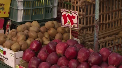 Fruits and vegetables in Egypt Stock Footage 251981011