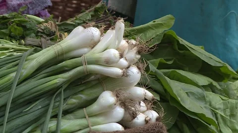 Fruits and vegetables in Egypt Stock Footage 251981277