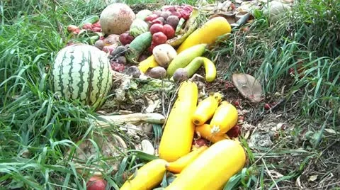 Fruits and Vegetables in Grass 스톡 동영상 12581246