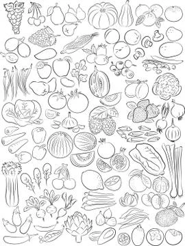 Fruits and vegetables 스톡 일러스트