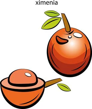 Fruits and vegetables. Stock Illustration