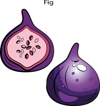 Fruits and vegetables. Stock Illustration
