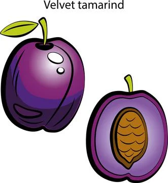 Fruits and vegetables. Stock Illustration