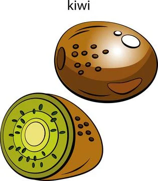 Fruits and vegetables. Stock Illustration