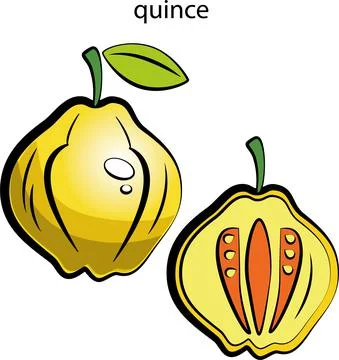 Fruits and vegetables. Stock Illustration