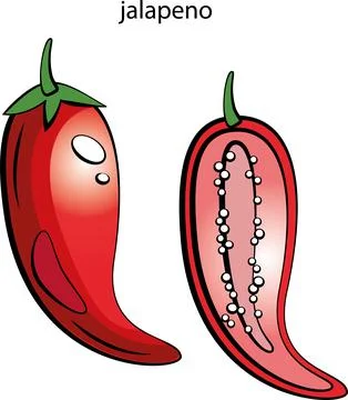 Fruits and vegetables. Stock Illustration