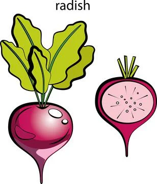 Fruits and vegetables. Stock Illustration
