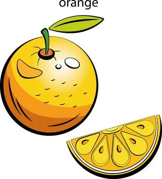 Fruits and vegetables. Stock Illustration
