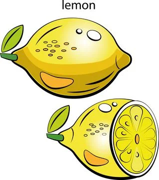Fruits and vegetables. Stock Illustration