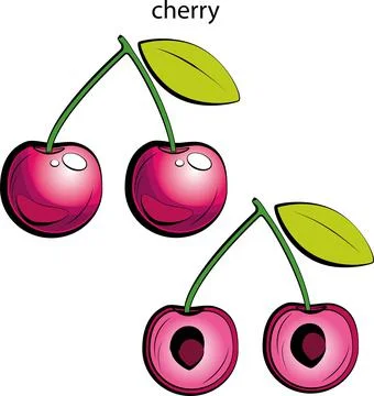 Fruits and vegetables. Stock Illustration