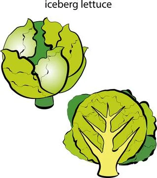 Fruits and vegetables. Stock Illustration