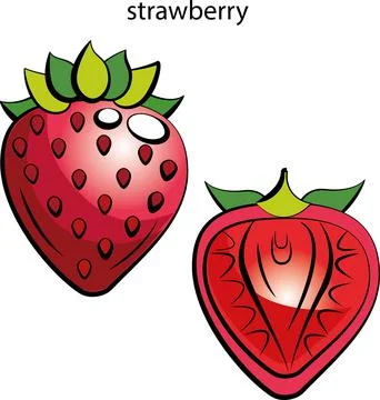 Fruits and vegetables. Stock Illustration