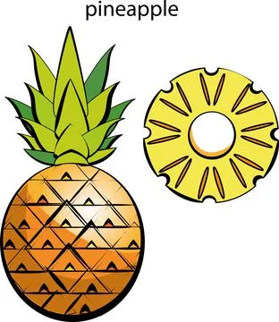 Fruits and vegetables. Stock Illustration