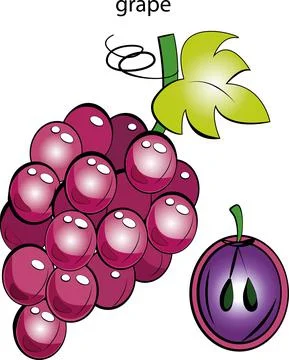 Fruits and vegetables. Stock Illustration