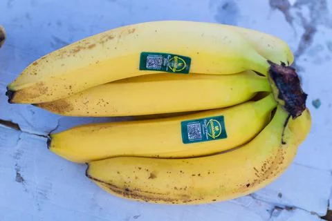 Fruits and vegetables Stock Photos