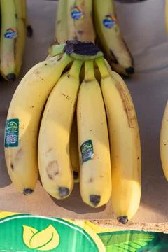 Fruits and vegetables Foto stock