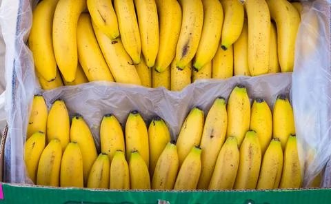 Fruits and vegetables Stock Photos
