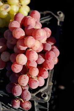 Fruits and vegetables Foto stock