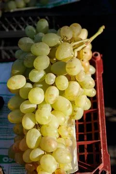 Fruits and vegetables Stock Photos
