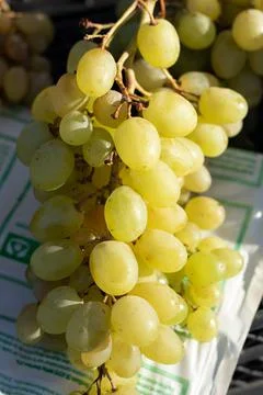 Fruits and vegetables Stock Photos