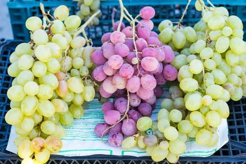 Fruits and vegetables Stock Photos