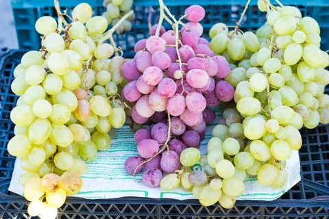 Fruits and vegetables Foto stock