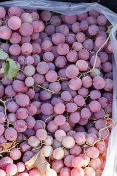 Fruits and vegetables Foto stock