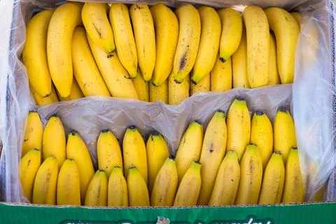 Fruits and vegetables Foto stock