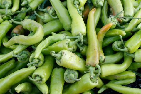 Fruits and vegetables Foto stock