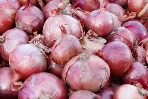 Fruits and vegetables Foto stock