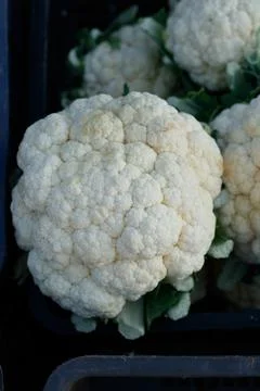 Fruits and vegetables Foto stock