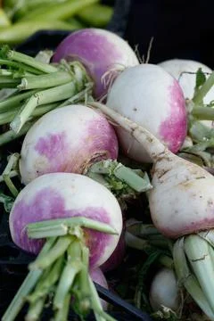 Fruits and vegetables Stock Photos