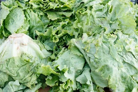Fruits and vegetables Stock Photos