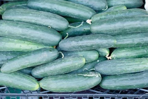 Fruits and vegetables Stock Photos