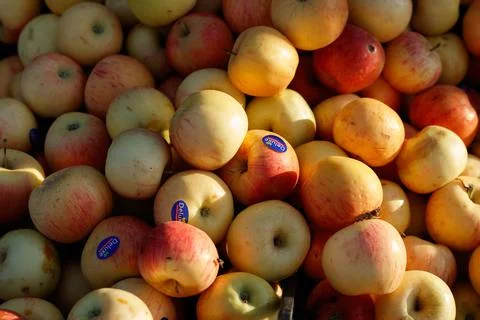 Fruits and vegetables Foto stock