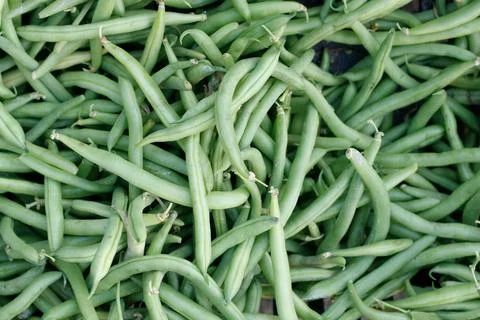 Fruits and vegetables Foto stock