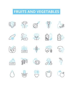 Fruits and vegetables vector line icons set. Fruit, Vegetable, Apple, Orange Stock Illustration