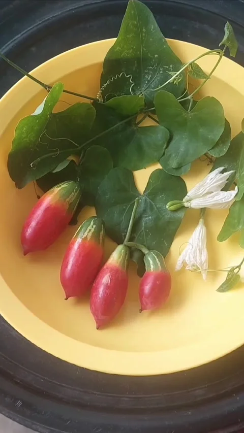 Fruits and Vegetables, Vertical Video stock 297752439