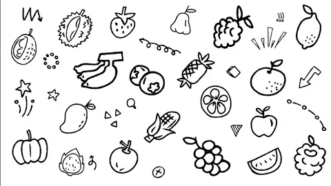 Fruits and Vitamins Hand Drawn Doodle Animation  Stock Footage 344308997