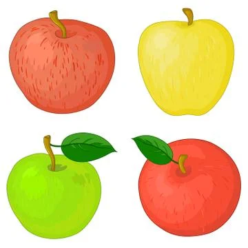 Fruits, apples Stock Illustration