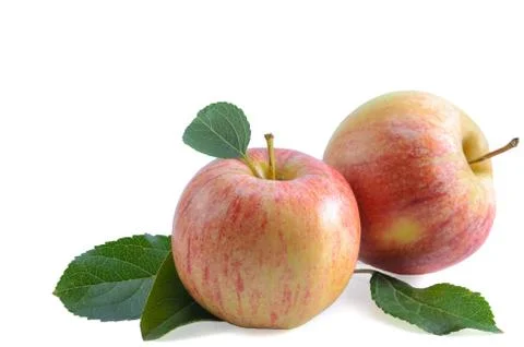Fruits of apples Stock Photos