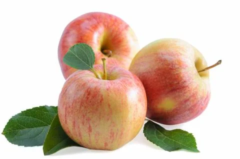 Fruits of apples Stock Photos