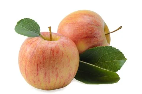 Fruits of apples Stock Photos