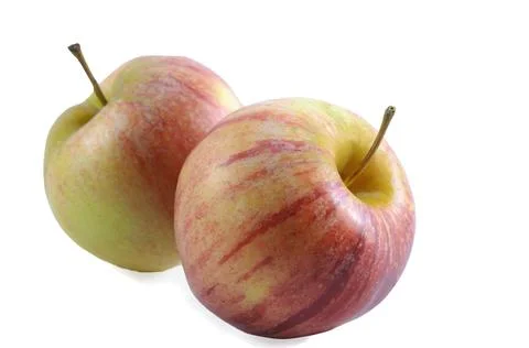 Fruits of apples Stock-Fotos