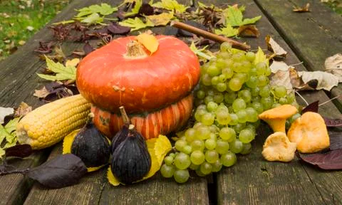 The fruits of autumn Foto stock