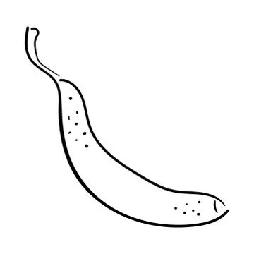Fruits banana. Vector doodle linear illustration. Isolated on white. Design Illustrazione stock