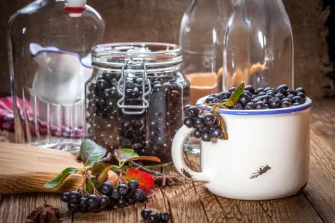 Fruits of black chokeberry prepared for processing Foto stock