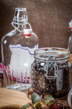Fruits of black chokeberry prepared for processing. Stock Photos